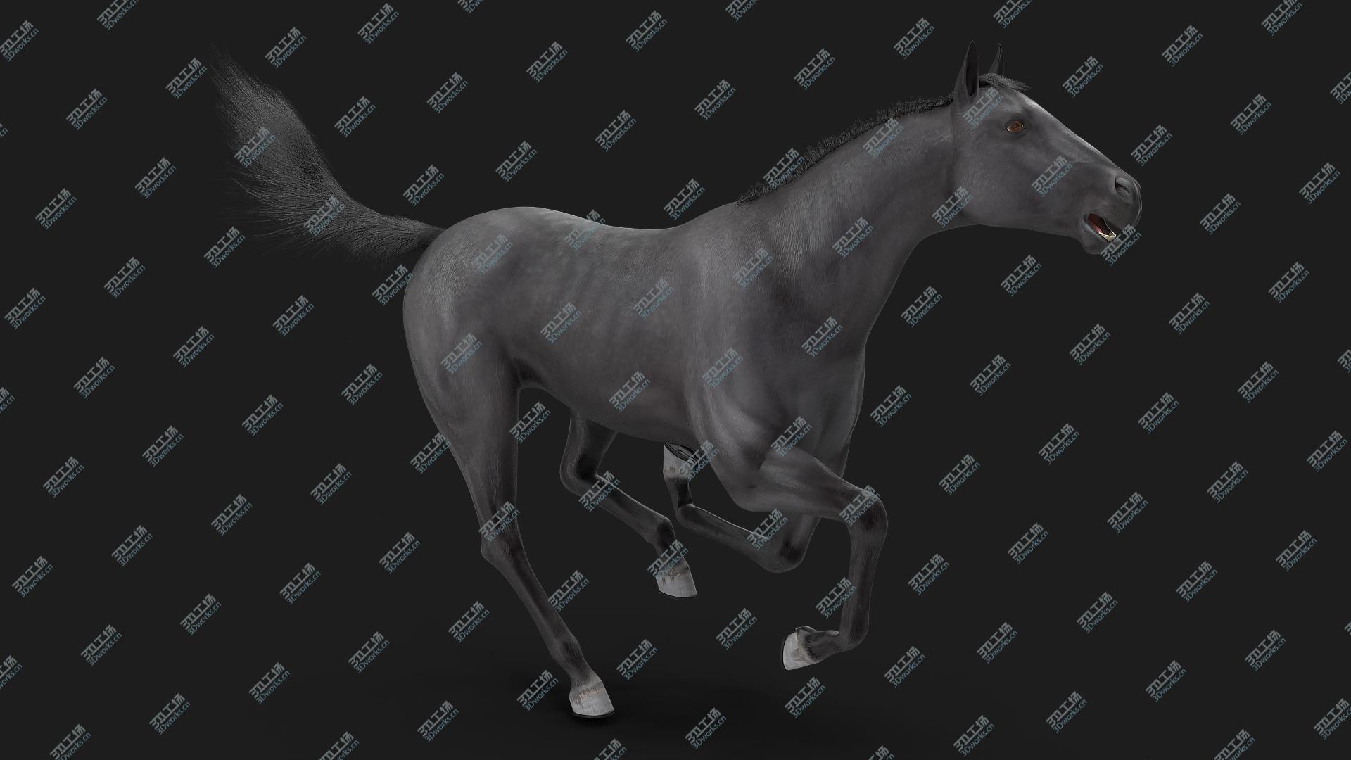 images/goods_img/20210319/Black Horse Fur Rigged model/2.jpg
